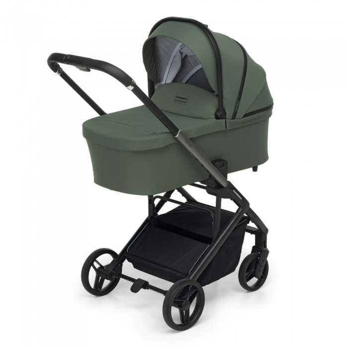 Foppapedretti Trio TicToc Olive