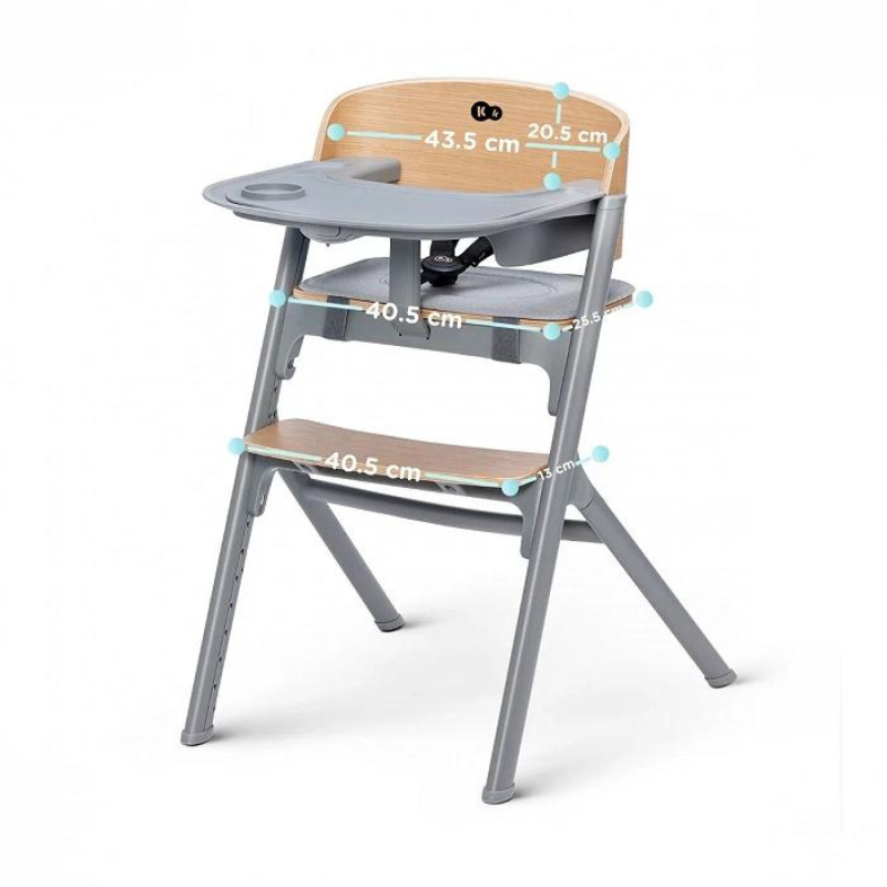 Kinderkraft Seggiolone pappa LIVY Aster Pink